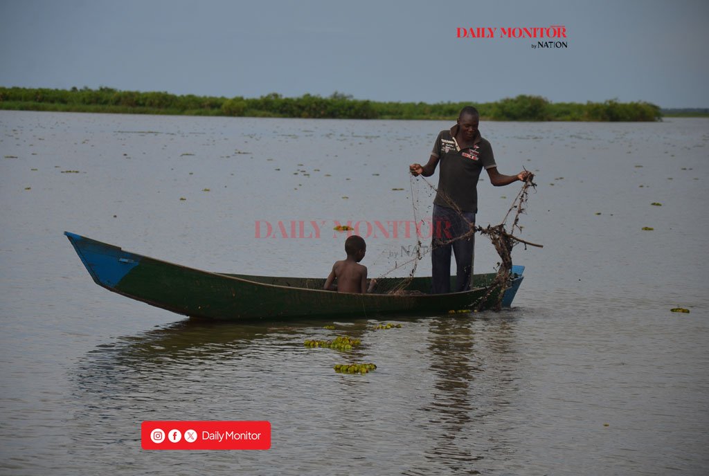 Busoga grapples with child labour