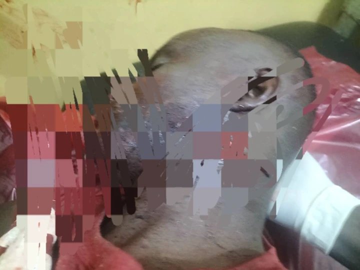 Police Probe Brutal Night Attack on Entebbe Officer Found Bleeding Outside Barracks