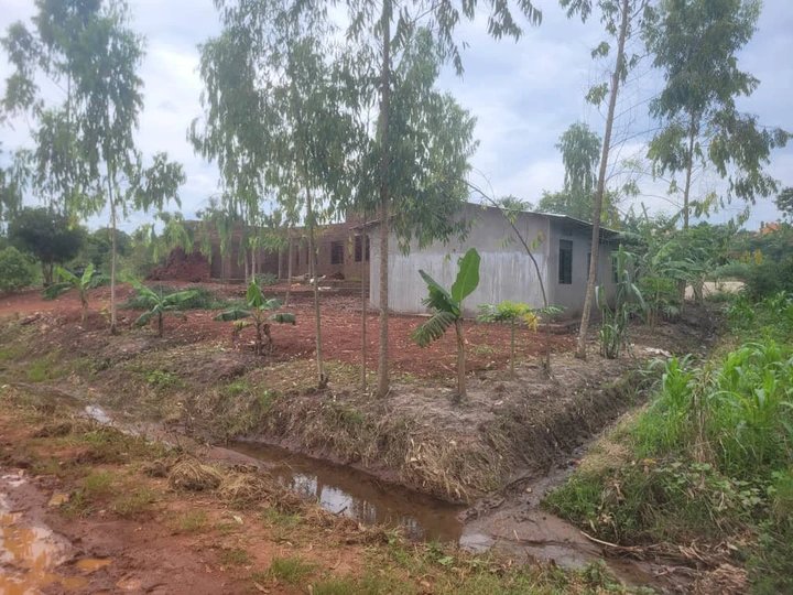 Kayunga Roads Submerged as Leaders Blame Environmental Degradation