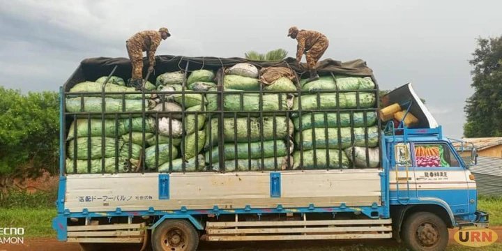Security Impounds Two Trucks with Over 200 Bags of Charcoal in Napak, Nabilatuk