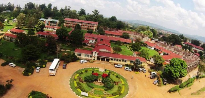 Buganda, Ankole, Busoga dominate education landscape as UBOS Census shows regional concentration