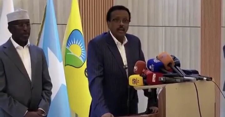 Ex President Farmaajo: Somalia Facing Dangerous Breakdown of State Institutions