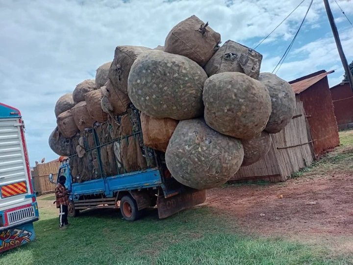 Traffic Police Arrest Driver Over Dangerous Bottle Transportation