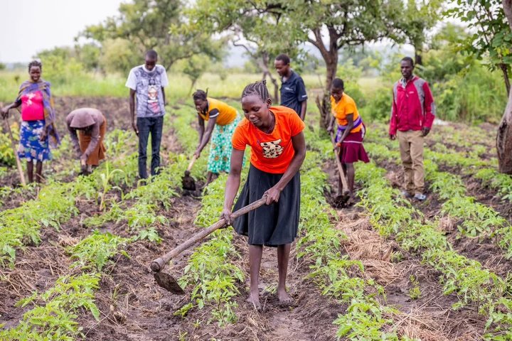 Govt Allocates Shs2.26 Trillion to Agro-Industrialisation in Largest-Ever Agriculture Investment