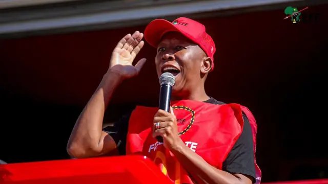 Malema files court petition seeking leave to appeal his firearm convictions