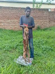 Police seize four slaughtered dogs headed for Mubende roadside market