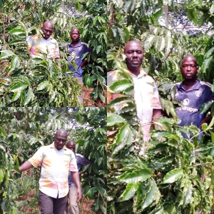 How UGX1 Million PDM Investment Transformed a One-Acre Farmer Into a Foundation for Sustainable Wealth Creation, Food Security in Luuka as ONC Continues to Monitor PDM Impact Across Communities