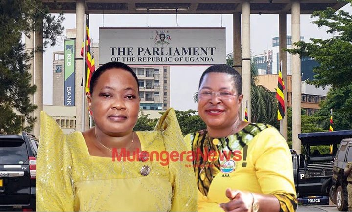 Restless Anita Among Rebukes Parliament Staff Who Gave IGG Implicating Info as Jubilant Nabbanja Orders CID Investigations into Kira Land Petition