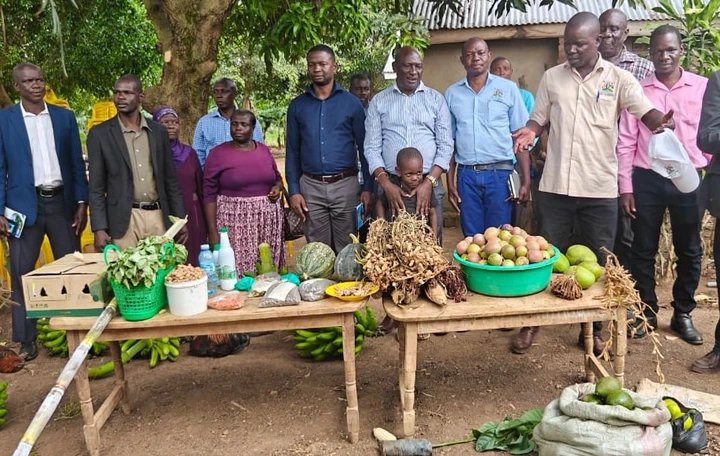 Pallisa launches Farmer Field Day to promote modern agriculture technologies