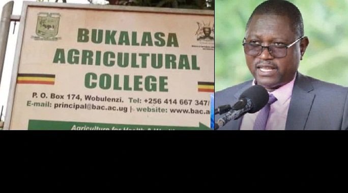 Investigation Busts Bukalasa Agricultural College Mess… Idle School Bus, Broken Grass Cutter, No Strategic Plan as Receivables Explode to Millions