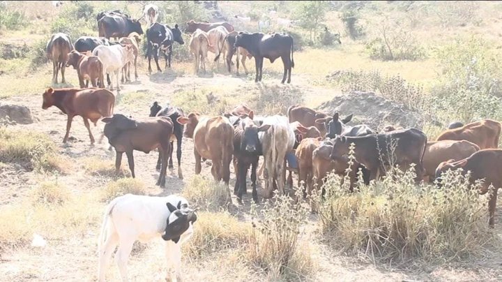 Government Warns of Above-Average Temperatures