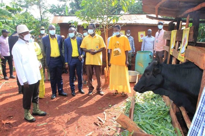PDM Beneficiaries Repay Revolving Fund as Enterprises Boost Household Incomes