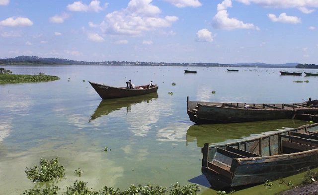 How to save Lake Victoria
