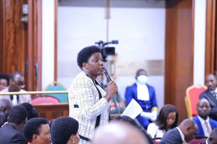 Kikafunda Pushes for Village Knapsack Sprayers, Regional Cancer Centre for Kigezi