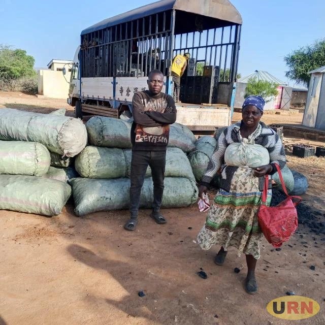 Security Forces Impound 46 Bags of Charcoal in South Karamoja Crackdown