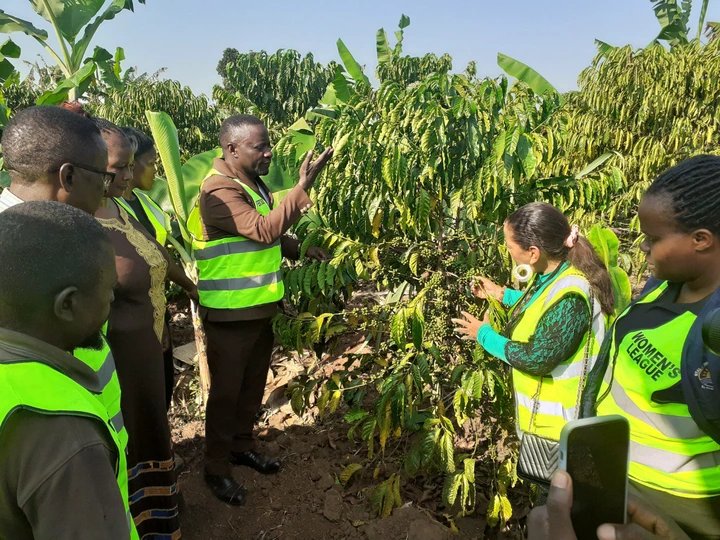 Four-Acre Model farmers decry water scarcity, seek government help on irrigation