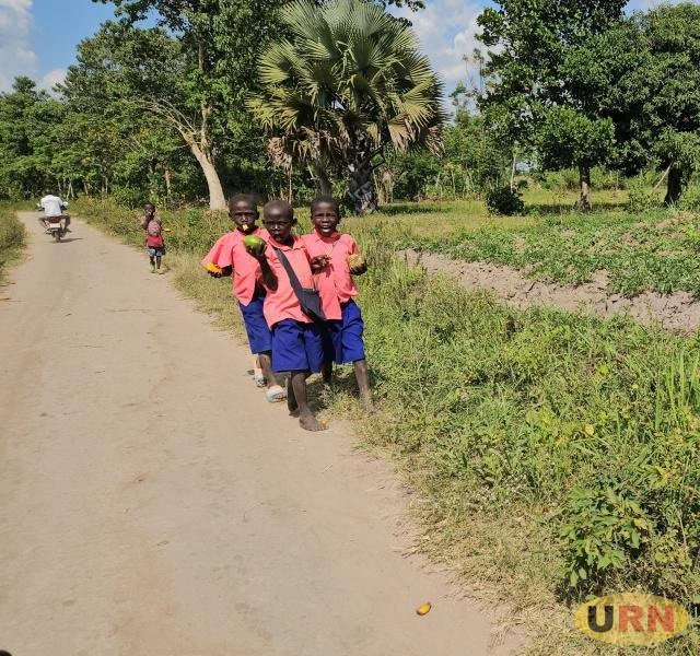 Long distance walk forcing Apac learners out of school