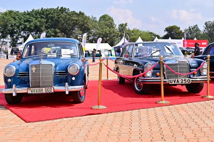 Wavamunno Warns Auto Show Visitors: Hands Off My Vintage Cars