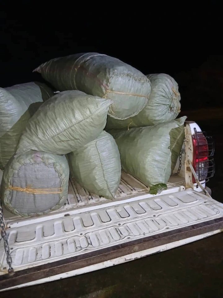 URA Seizes UGX 5.7 Million Worth of Smuggled Rice Hidden in Corn Sacks at Malaba