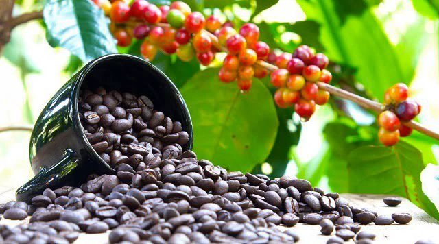 Uganda Registers $582.9m Middle East Trade Surplus