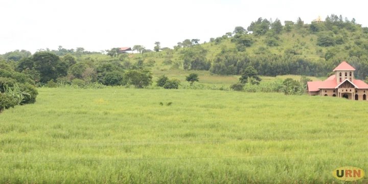 Masindi Police Probe Killing of Boda-Boda Rider