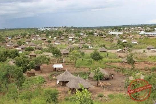Refugee children in Rhino Camp skip school for funerals in search of food