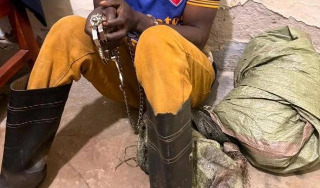 Two Suspects Arrested as Police Recover Rifle Used in Rafiki Gardens Robbery