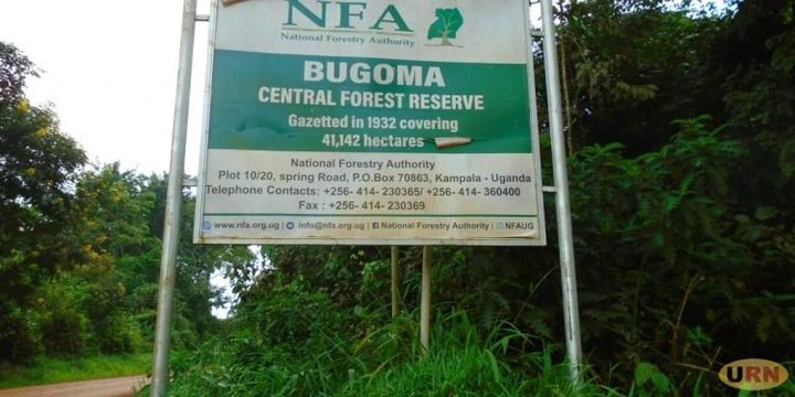 Police Arrest Man Accused of Posing as UWA Ranger in Bugoma Forest Scam