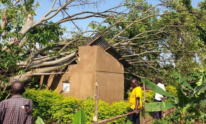 NAMISINDWA: Heavy Rains Blow Off Houses, Destroy Crops