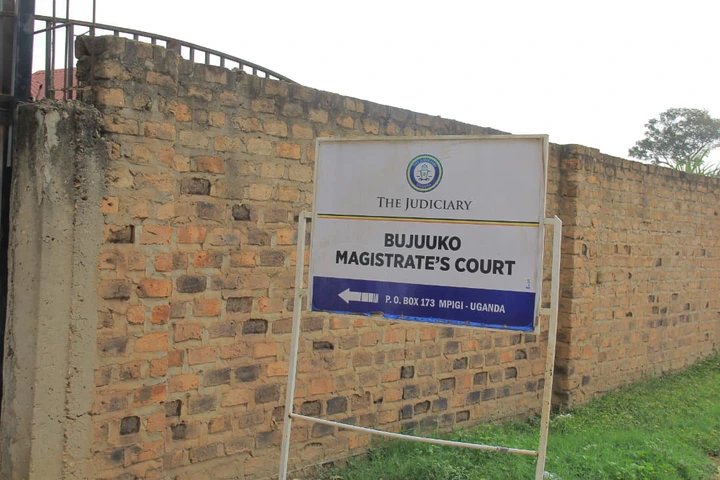 ‘Mr President, You Are a Cattle Farmer Like Us’ — Muduuma Residents Appeal to Museveni Over Cattle Theft