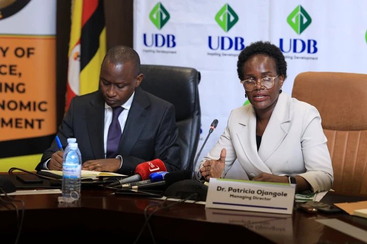 UDB says 69,202 jobs reported in 2025 were physically verified
