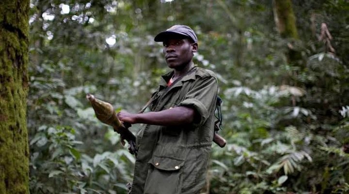Western Powers Press DRC for Concrete Plan to Neutralise FDLR