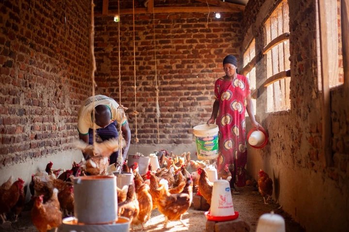 Farmers urged to improve product quality to tap into global markets