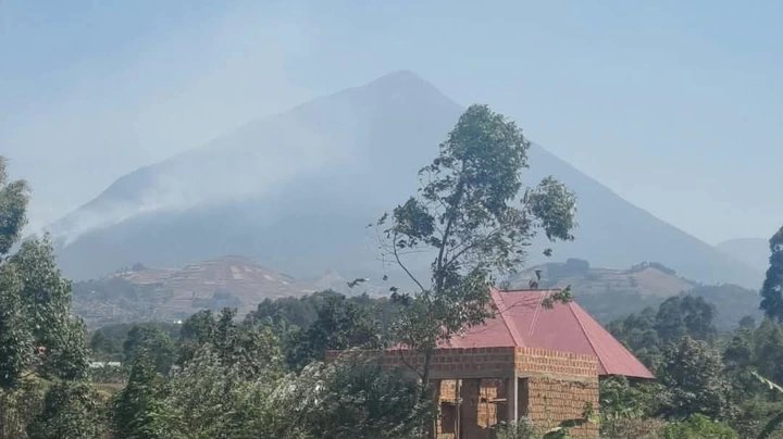 UWA, Communities Dig Firebreaks as Wildfire Burns Near Mgahinga Border