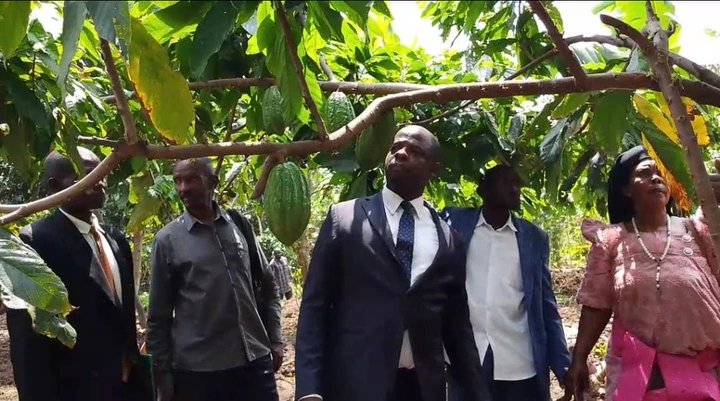 Buganda Kingdom Assesses Health, Agriculture and Governance in Ssingo
