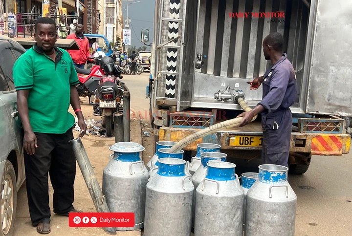 Dry spell cuts milk supply, pushes prices higher in Ankole, Kigezi